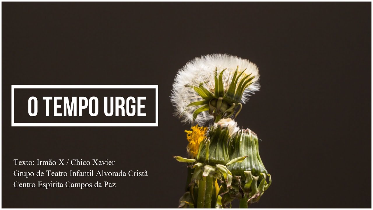 O Tempo Urge - YouTube