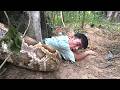 Terrifying Rescue! Giant Python Wraps Around Girl – Brave Team Saves Her Just in Time 😱🐍