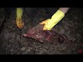 Bowfishing for Armadillo! - Cleaning and Cooking!