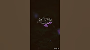 سورة مريم 🤍 #قرآن #المصحف #ناصر_القطامي #العرب #سورة_مريم
