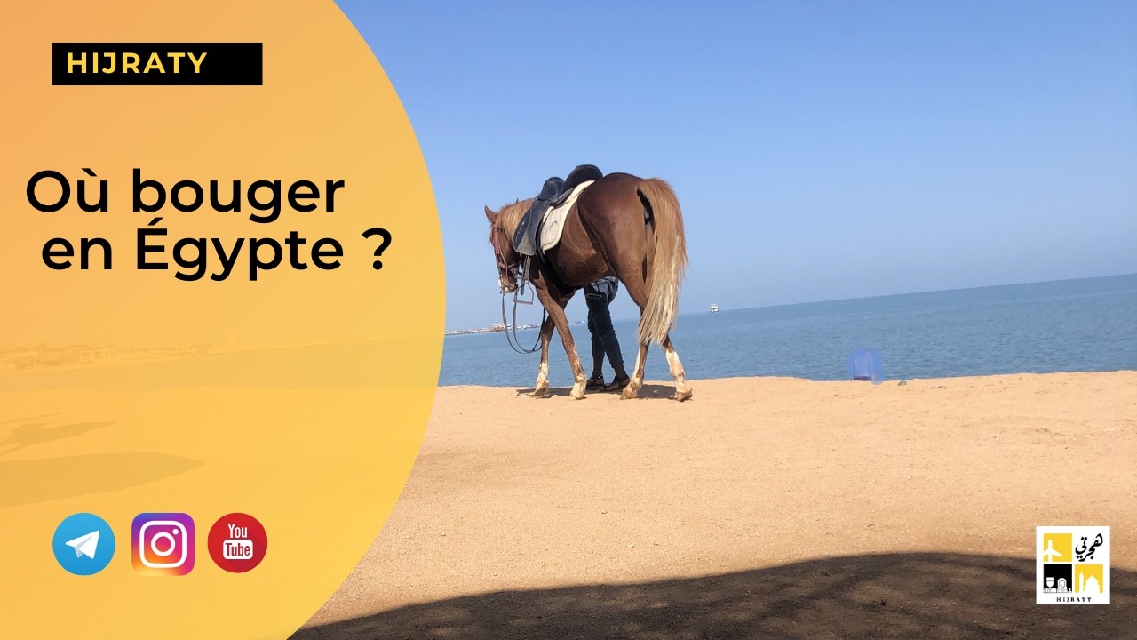 Où bouger en Egypte ? 🇪🇬