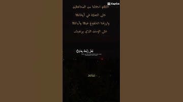 تلاوة خاشعة عطرة للشيخ سعد الغامدي ماتيسر من سورة الفجر