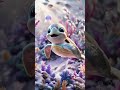 [David] Premium Floating Turtle And Ocean Adventures (Video) - Samsung Theme