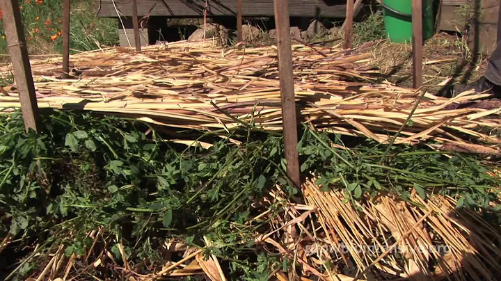 Session 5, Part B: GROW BIOINTENSIVE: A Beginner's Guide --  Composting