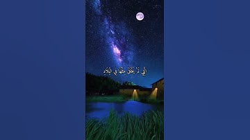 واتس أب قرآن كريم القارئ ياسر الدوسري من سورة (الفجر)