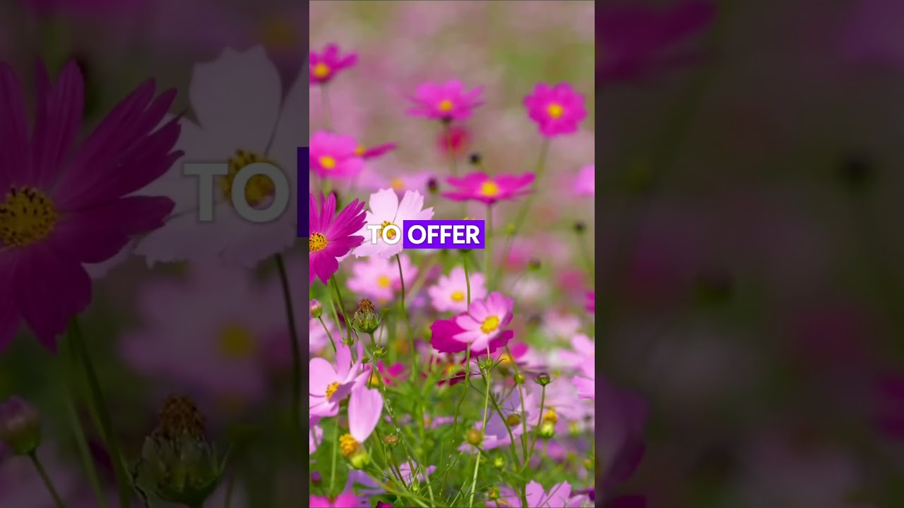 🙏 Psalm 4:5 Explained! Unlocking Divine Blessings: The Power of Righteousness & Trust in God! 