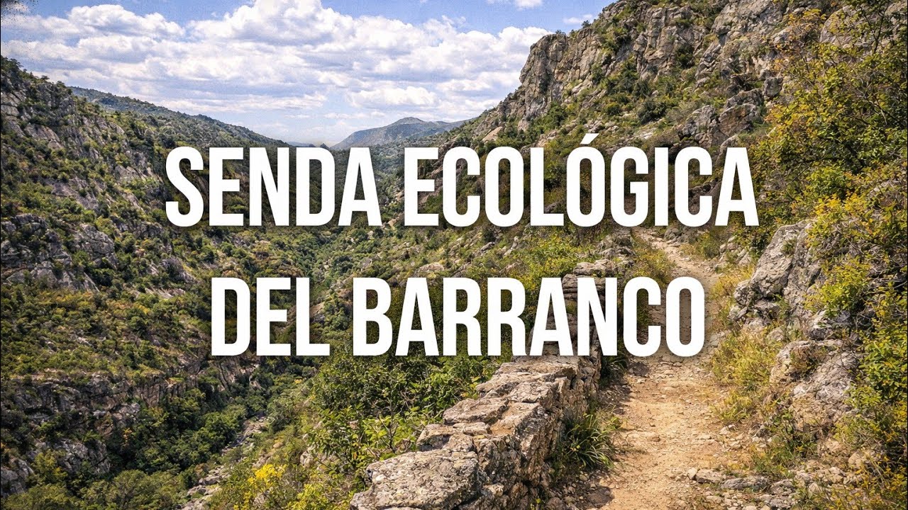 153. Patones de Abajo, Senda Ecológica del Barranco.
