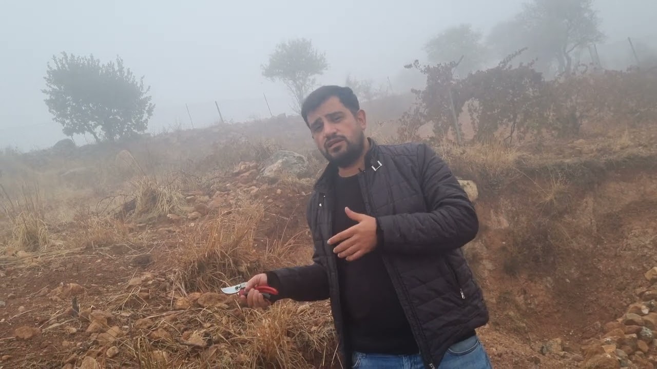 Engebeli Antepfıstığı Bahçesi videomuz