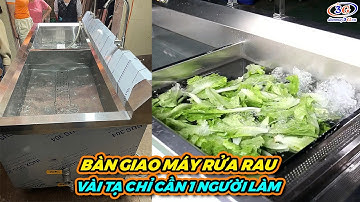 Máy Sục Rửa Rau Củ Sục Khí Ozone Giải Cứu Bếp Công Nghiệp| Điện Máy 3G