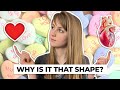Why do we draw hearts like that  the history of the heart icon  cbc kids news