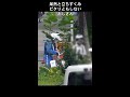原付特有の違反を知らなくて呆然自失のおじさん #shorts