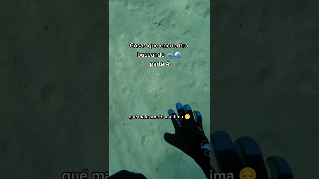 Nuevas cosas encuentro buceando🤿 