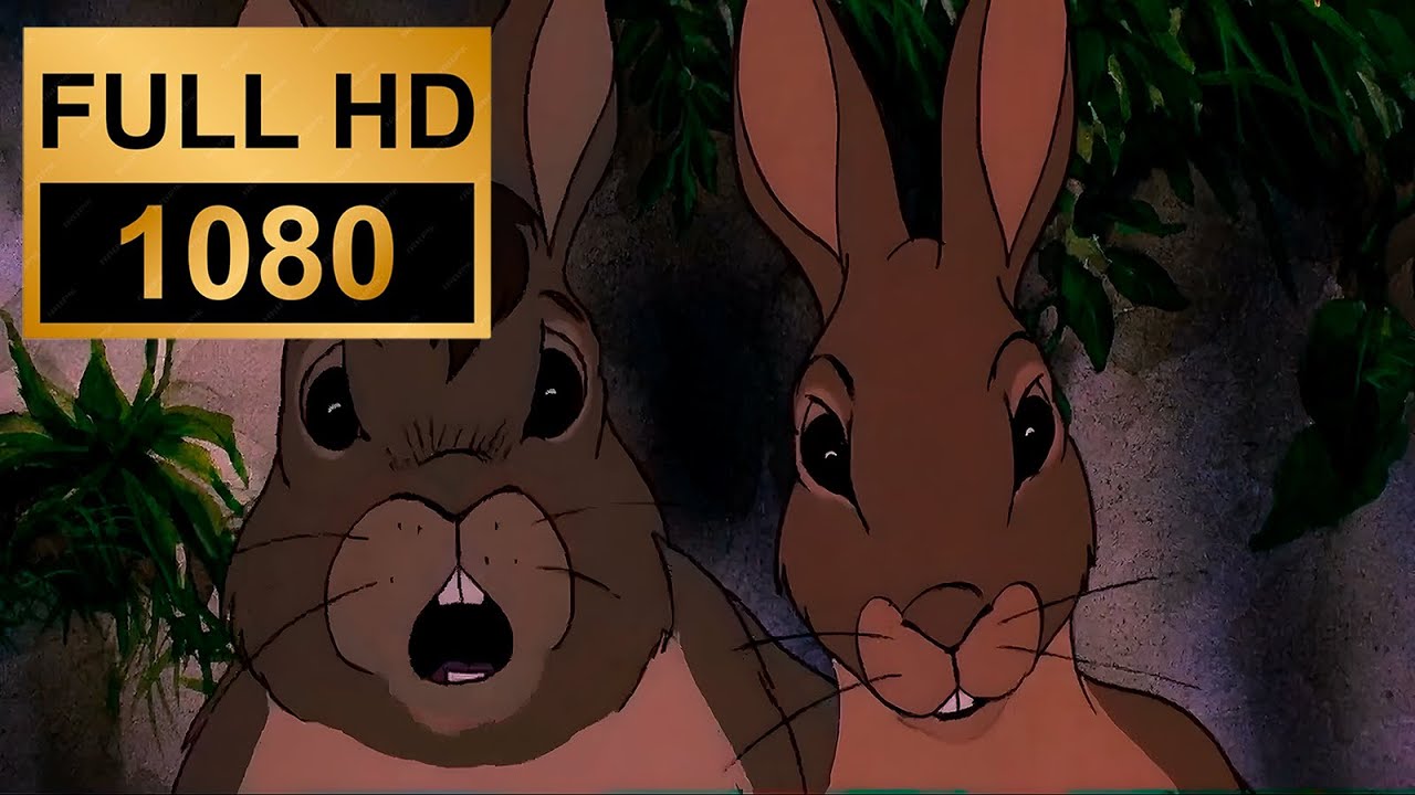 Watership Down | Español Latino | Full HD (Remasterizado) - YouTube