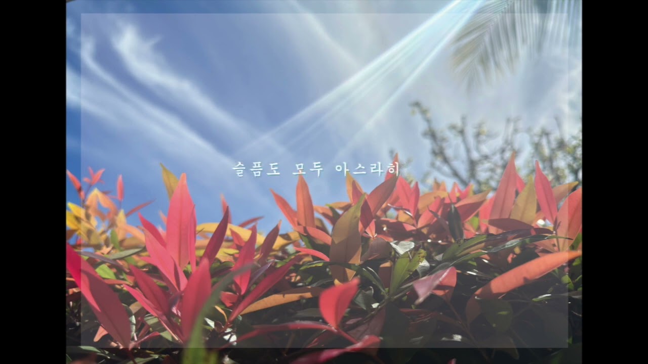 [LYRICS] 봄의기적 가사 영상 (2024 04 01)