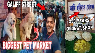 BIGGEST PET MARKET IN KOLKATA || 250 YEARS OLDEST SHOP MAIN BENGALI BREAKFAST KIA || papai da OP ||