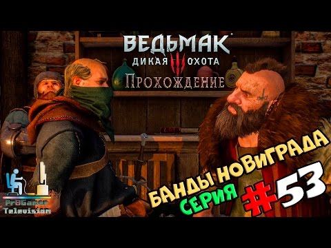 Ведьмак 3: Дикая Охота | Прохождение cерия #53 | Банды Новиграда