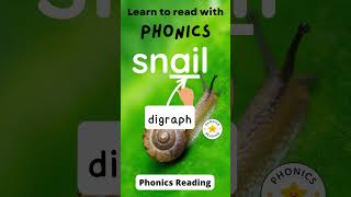 Farm Phonics | Snail