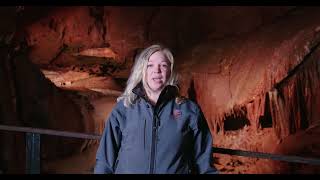 Gough's Cave: The Diamond Chamber Top 5 Facts