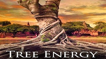 Trees Can Generate Electricity