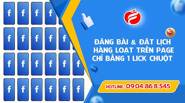 Đăng bài hàng loạt trên Page chỉ bằng 1 click chuột