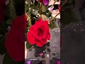 Rosas, chocolate y mucho amor para todos mis amigos en YouTube ¡Feliz Día del Amor y la Amistad!