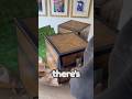 MINECRAFT SENT ME SOMETHING REALLY BIG AND MASSIVE!!!