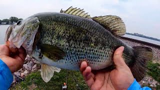 Lake Mendota Vs Lake Monona Bank Fishing