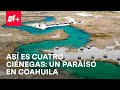 Video de Cuatro Ciénegas