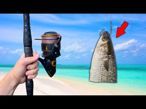 SURF FISHING 