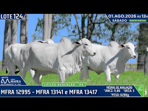 LOTE 124   MFRA 12995   MFRA 13141 e MFRA 13417