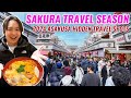 Sakura travel season came asakusa nakamise street japan oldest amusement park hanayashiki ep472