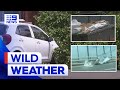 Wild winds bring trees down across Melbourne | 9 News Australia