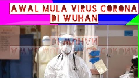 Begini Cerita Awal Mula Virus Corona