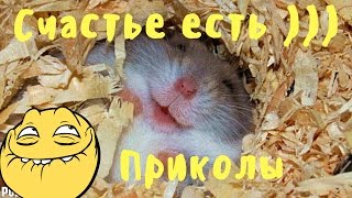 Видео приколы, поржать от души четвертый выпуск #приколы #видео Видео приколы, поржать от души четвертый выпуск #приколы #видео