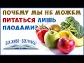 Почему мы не можем питаться только плодами? Кишечник и Биоциды! Бактерии.