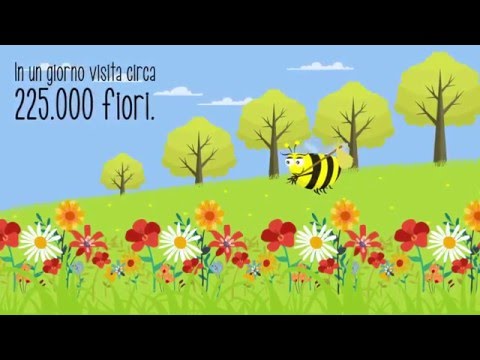 Video: 5 Fatti divertenti sulle api - e come puoi aiutare questi insetti scomparendo