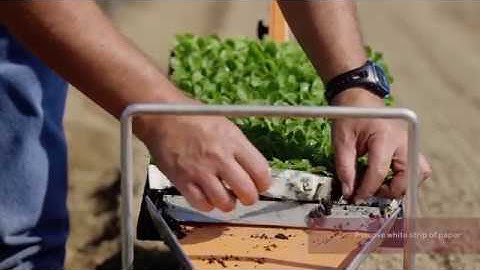 The Paperpot Transplanter: An Introductory Demonstration