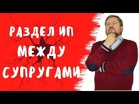 Раздел имущества супругов. Как разделить имущество ИП.