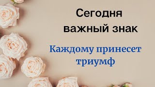 Сегодня Важный Знак. Принесёт Каждому Триумф.