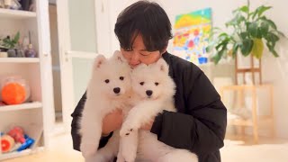 My Friend's Reacting To Seeing Cloned Dogs by 사모예드 티코 73,571 views 2 months ago 5 minutes, 48 seconds