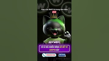 App #WeFi có gì mà khiến mình gỡ hết ví #crypto cũ #wefiinsight #fyp