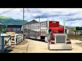Top class    flat top peterbilt 140   american truck simulator  logitech g27