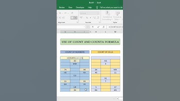 Excel COUNT vs COUNTA: What
