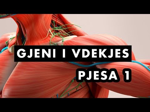 Gjeni i vdekjes - Distrofonia Muskulare | Pjesa 1 (Dokumentar Shqip)