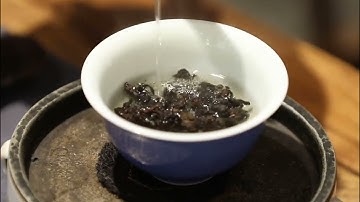 Best 12 Ai Tools You Can Use