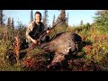 Alaska Moose Hunt 2020