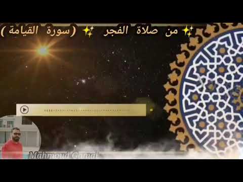 سورة القيامة الشيخ محمود جمال