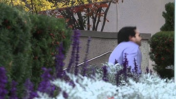 Windows Azure DataMarket Partner Testimonials