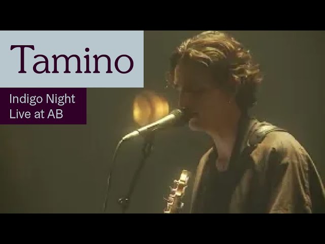 Tamino - Indigo Night Live at AB - Ancienne Belgique class=