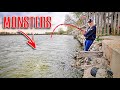 This UNDERGROUND SPILLWAY Is Full Of ANGRY FISH!!! (She Finally Caught One)